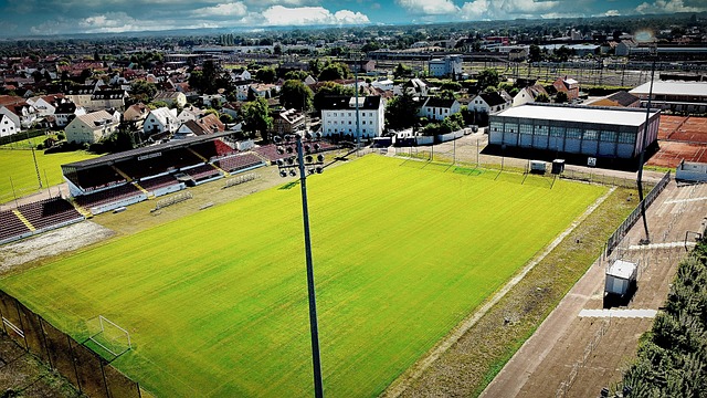 是一种无与 是一种无与